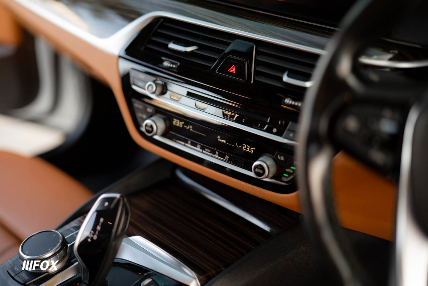 BMW 530e Highline 2019(18)