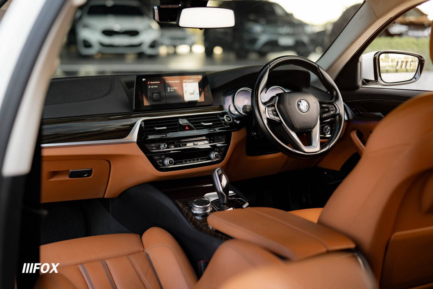 BMW 530e Highline 2019(18)