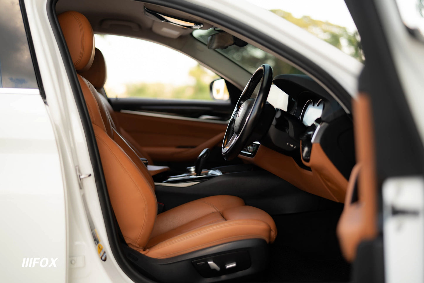 BMW 530e Highline 2019(18)