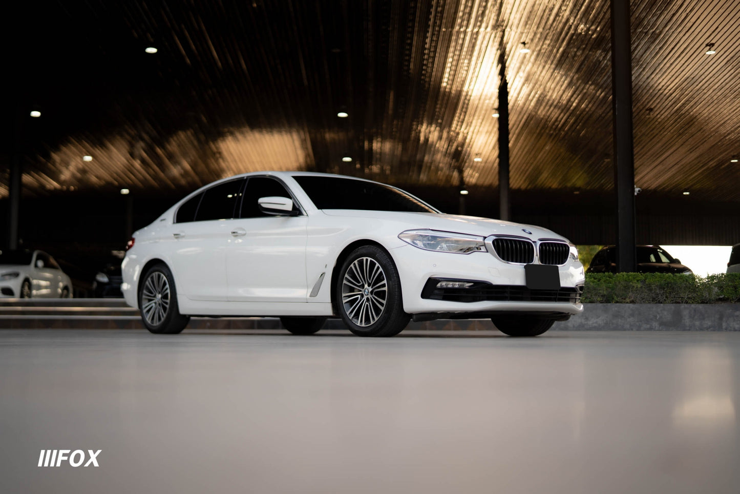 BMW 530e Highline 2019(18)