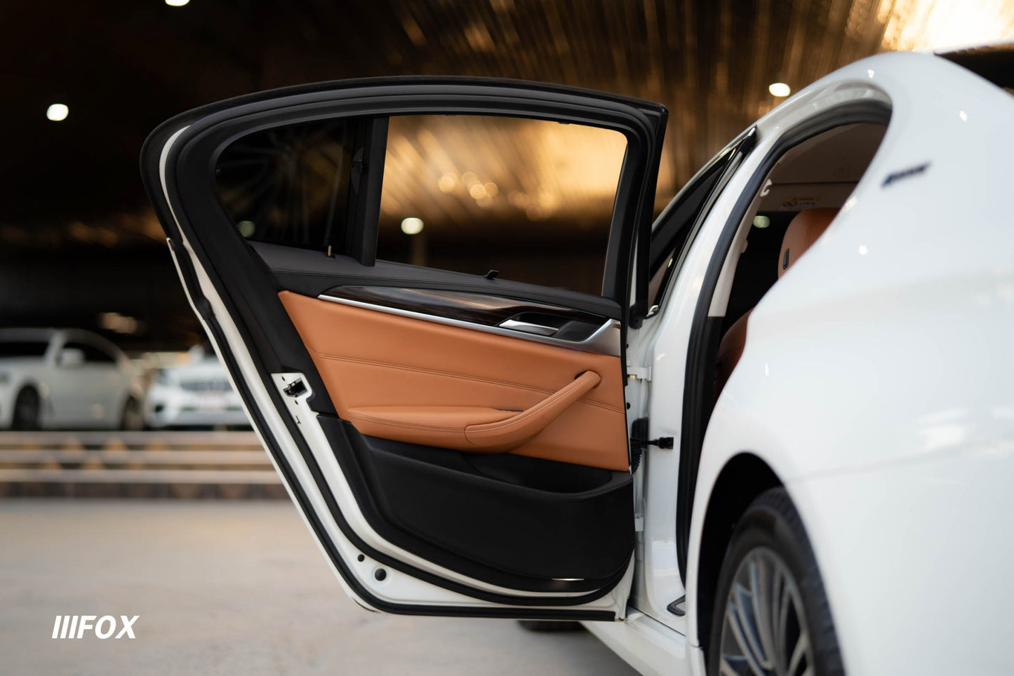 BMW 530e Highline 2019(18)