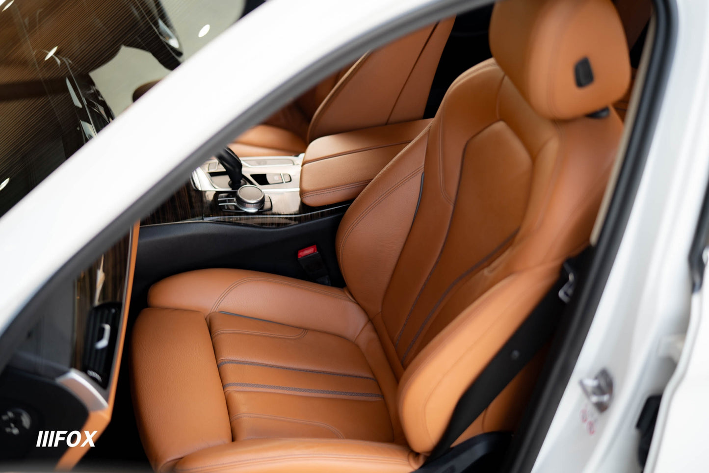 BMW 530e Highline 2019(18)